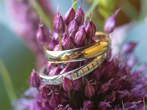 Wedding Planners Listing Category Magdalena Events